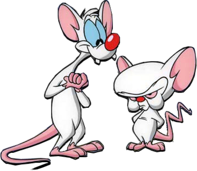 pinky and the brain